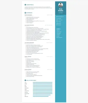 Professional Resume